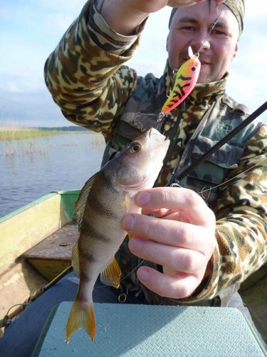 P1070316.JPG (68.14 КБ) 1824 просмотра А этот воблер рубил окуня на закате и восходе...