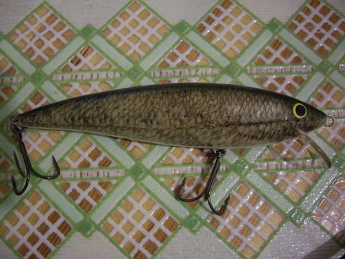 Изображение 025.jpg (113.08 КБ) 1126 просмотров абаши,120мм.,24г.,плав.