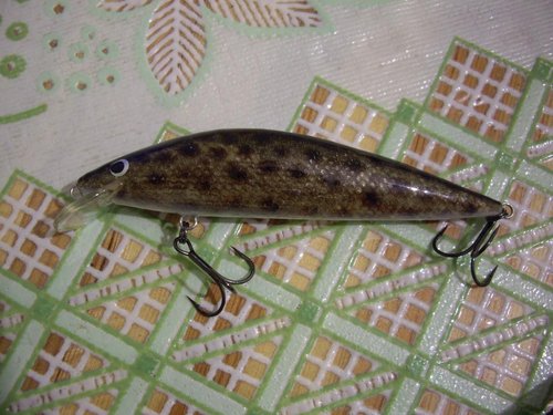 Изображение 028.jpg (110.08 КБ) 1126 просмотров абаши,105мм.,17г.,плав.