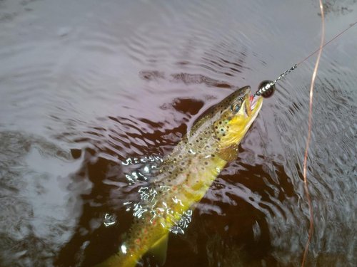 20130526_172451.jpg