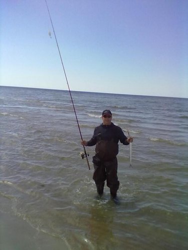 201305291013.jpg