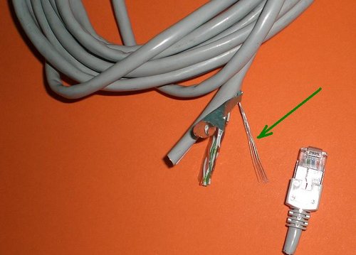 cat5.JPG