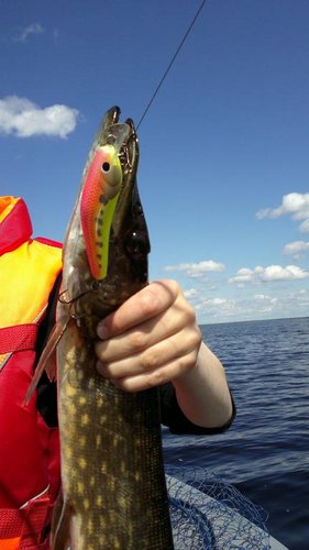 30052013741.jpg
