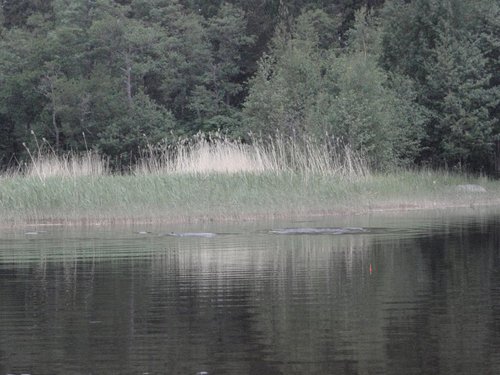 P6016290.JPG