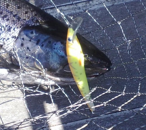230520131125.jpg