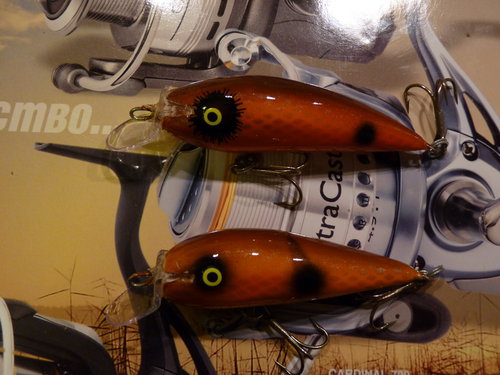 P1020716_новый размер.JPG