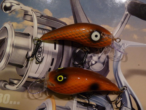 P1020715_новый размер.JPG