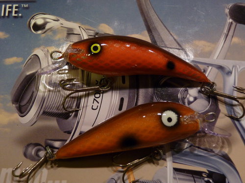 P1020714_новый размер.JPG