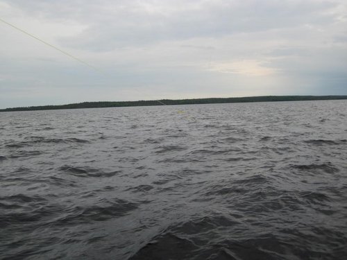 IMG_8013.JPG
