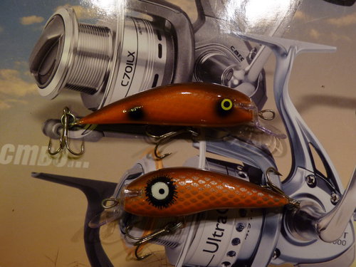 P1020713_новый размер.JPG