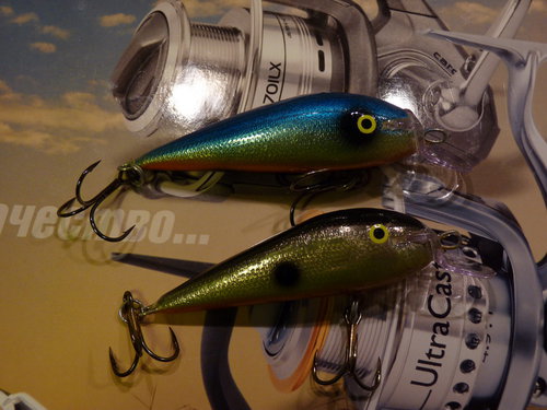 P1020712_новый размер.JPG