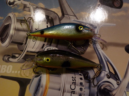 P1020711_новый размер.JPG