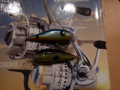 P1020710_новый размер.JPG