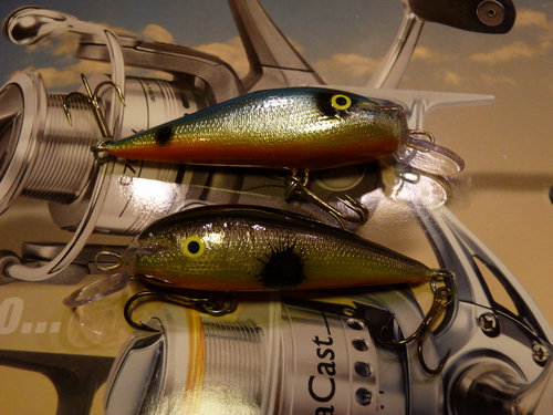 P1020709_новый размер.JPG