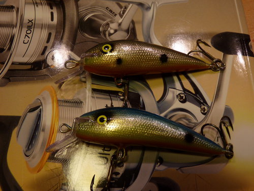 P1020708_новый размер.JPG