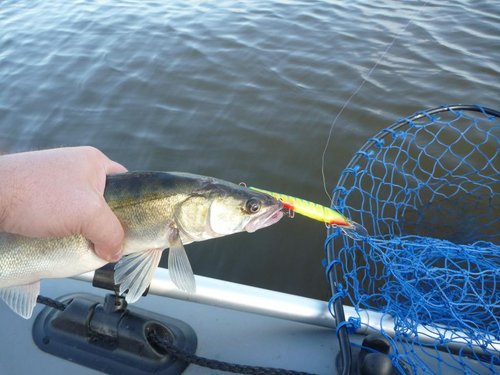 P1070406.JPG (98.43 КБ) 1397 просмотров Через 5 минут этот воблер остался на дне... без борьбы и надежды на спасение...