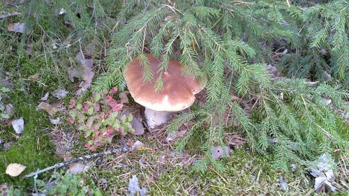 2012-09-05-053 (NXPowerLite).jpg