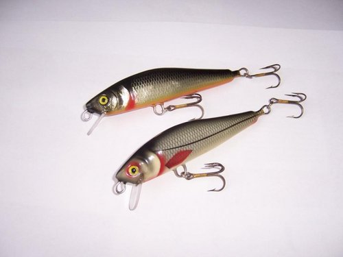 Abachi10cm.jpg