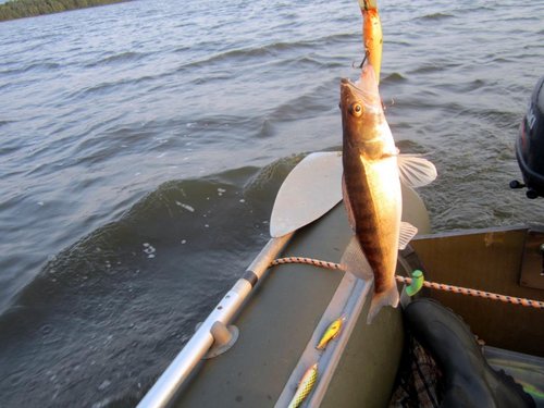 О4.jpg (93.21 КБ) 1797 просмотров Озёрные судочки желают такую-же расцветку!