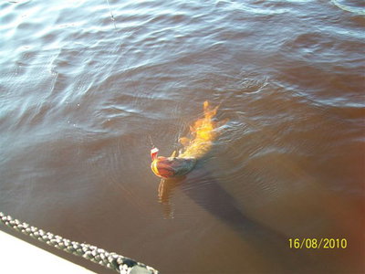 100_2244.jpg