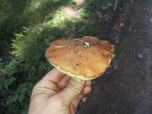20130803_112003.jpg