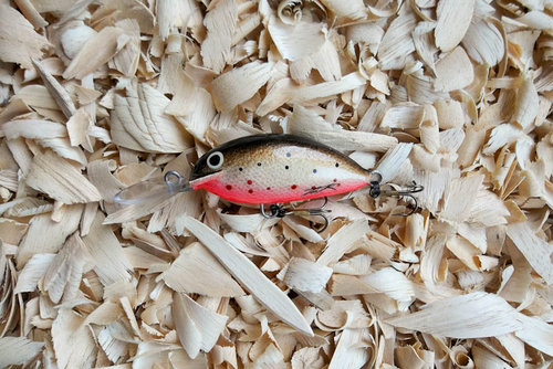 130805 (1).JPG (166.04 КБ) 8118 просмотров абачи 60мм 11,2 пл.