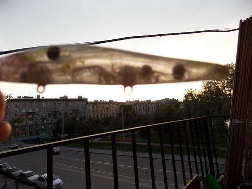 DSCN1407.JPG