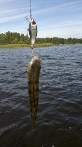 07082013805.jpg