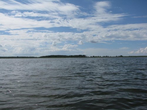 IMG_6345.jpg