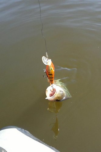 17082013822.jpg