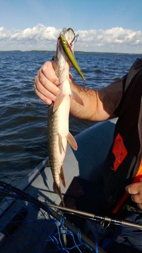 WP_20130817_007.jpg