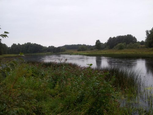 20130820_200016.jpg