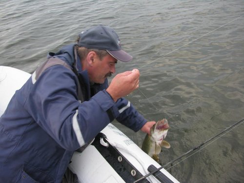 IMG_6357.jpg (81.46 КБ) 3125 просмотров Кака красава!