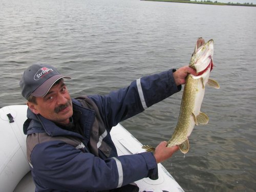 IMG_6358.jpg (86.88 КБ) 3108 просмотров Эта съедобная?