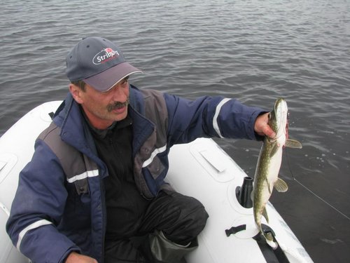 IMG_6362.jpg (86.34 КБ) 3125 просмотров Давай, эту отпустим?