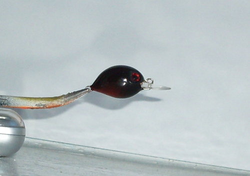 SDC10700.JPG