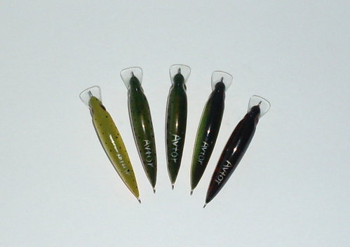 SDC10711.JPG