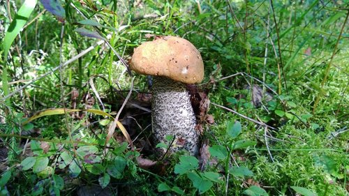 WP_20130828_026.jpg