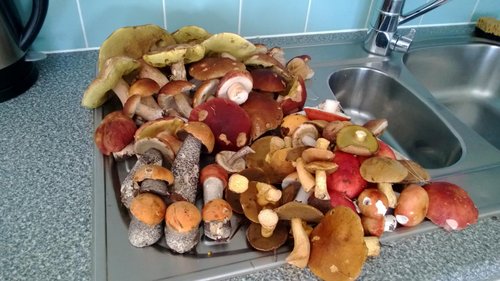 WP_20130828_031.jpg