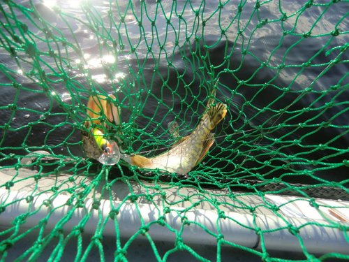 CIMG0044.JPG (156.56 КБ) 1590 просмотров S 130