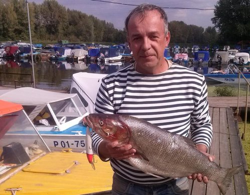 Жерех 5400 14_09_2013 02.jpg
