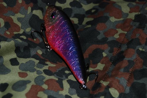 DSC_5935.JPG