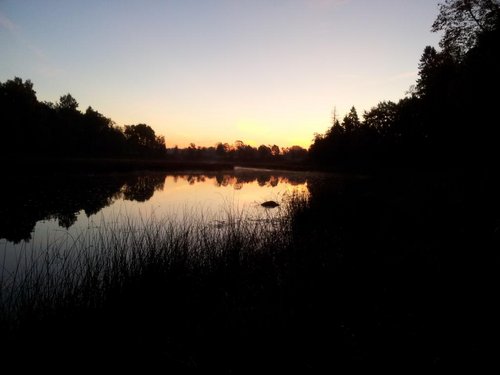 20131005_071210.jpg