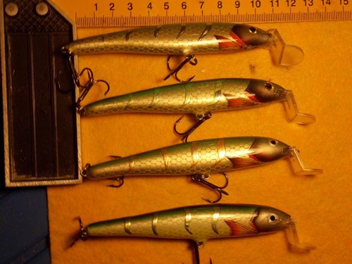 DSCN1679.JPG