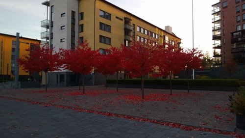 WP_20131012_003.jpg