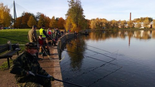 WP_20131012_001.jpg