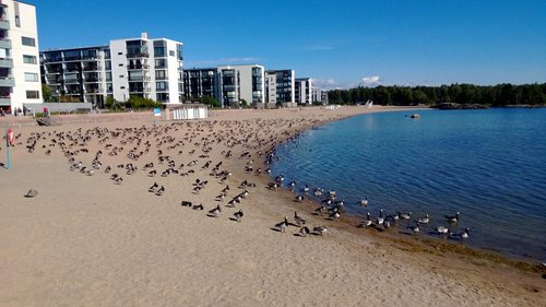 WP_20130904_002.jpg