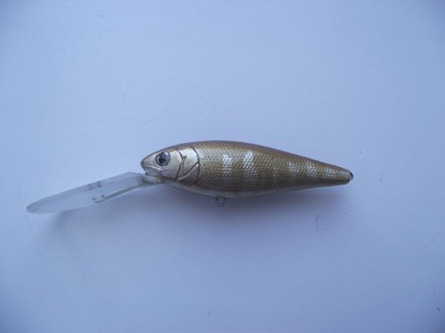 DSCF1054.JPG
