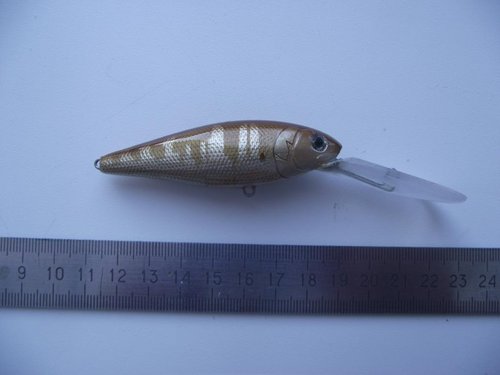 DSCF1056.JPG