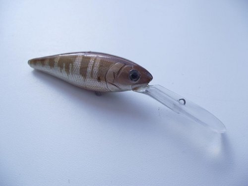 DSCF1057.JPG